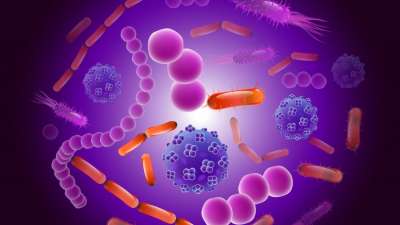 gut-bacteria.jpg