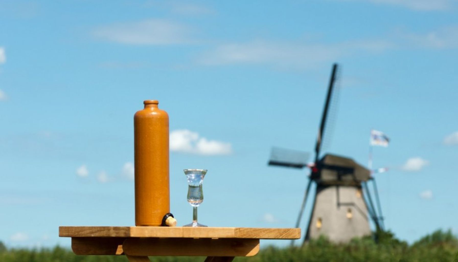 jenever-windmill-netherlands.jpg